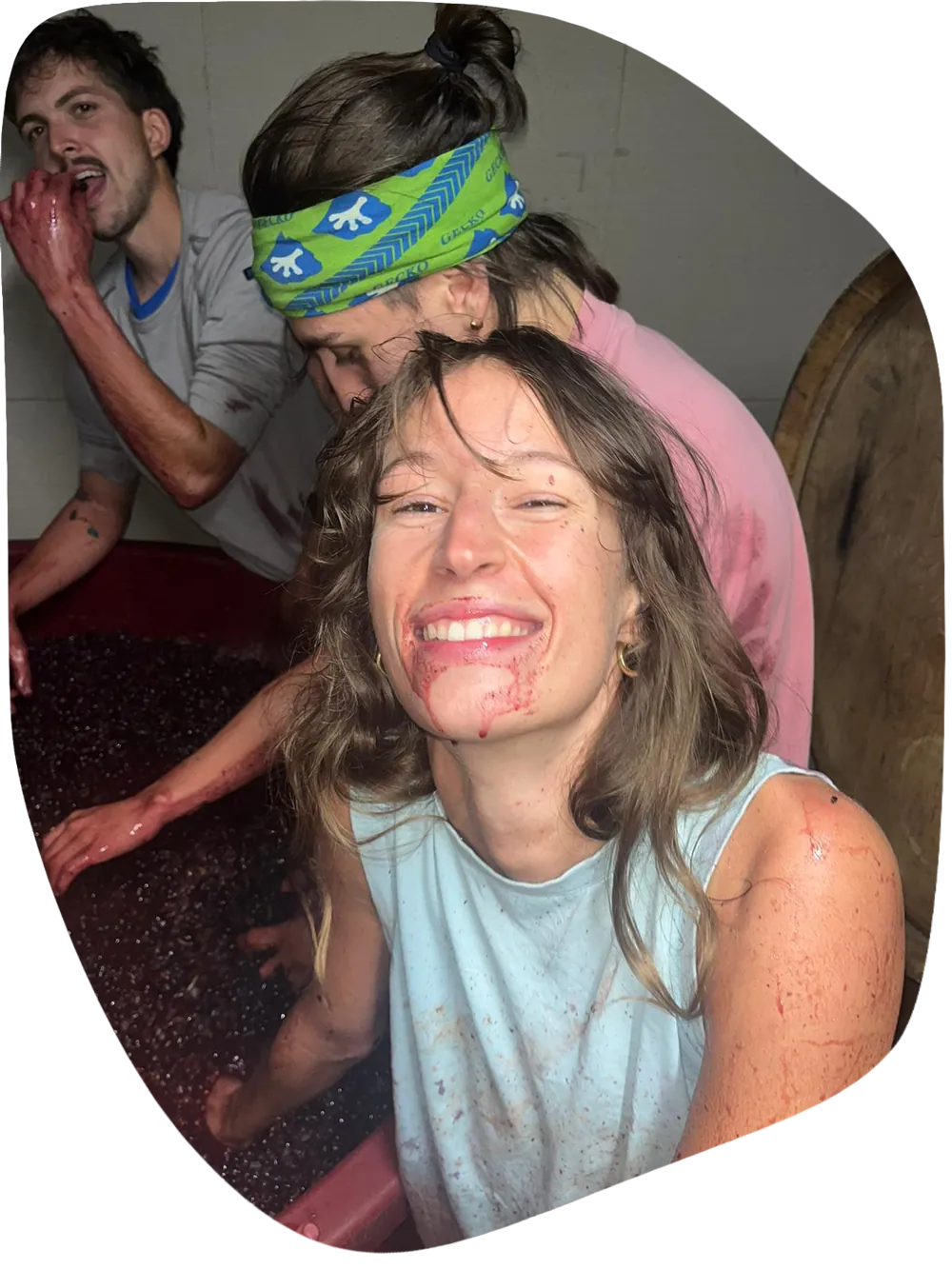 vandange-lucas-madonia