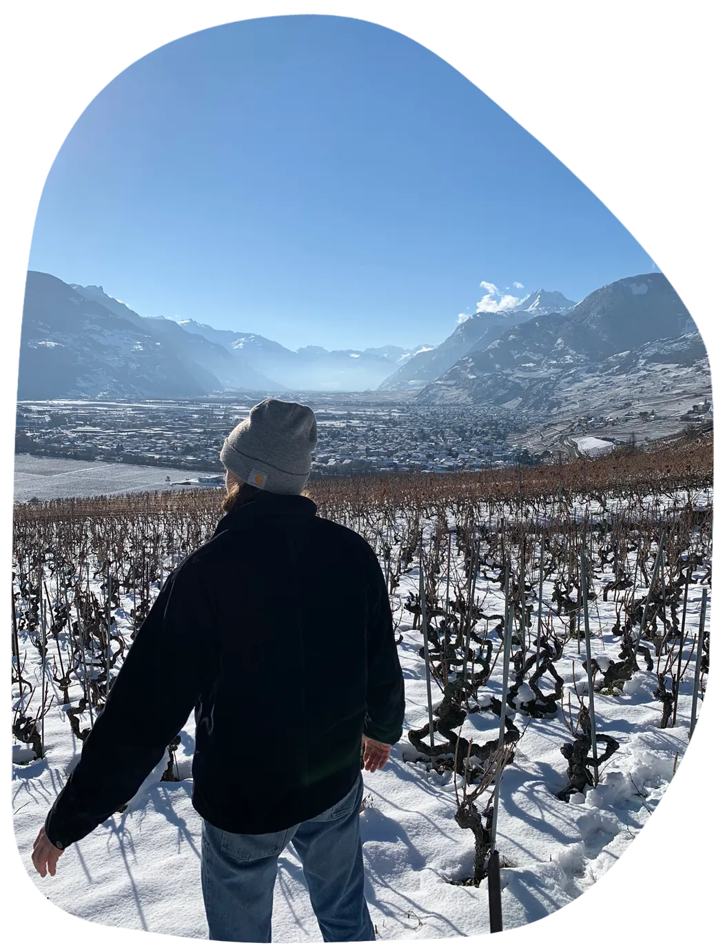 vignes-lucas-madonia